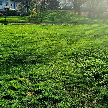 Thomas 028 Apartma *